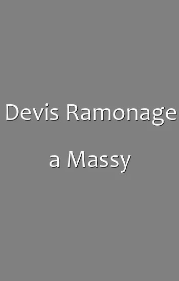 Devis Ramonage a Massy