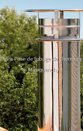 Devis Pose de tubage de cheminée a Mauquenchy