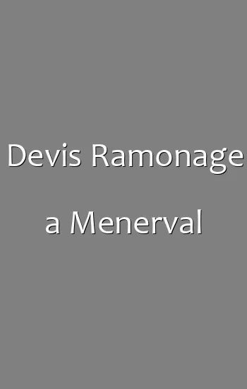 Devis Ramonage a Menerval