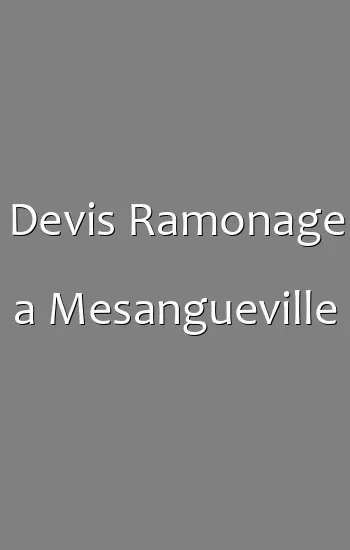 Devis Ramonage a Mesangueville