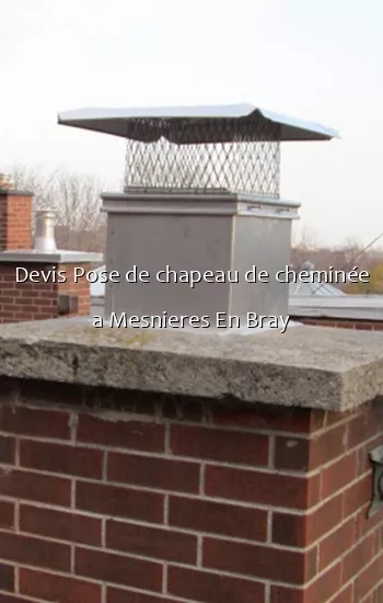 Devis Pose de chapeau de cheminée a Mesnieres En Bray