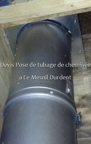 Devis Pose de tubage de cheminée a Le Mesnil Durdent
