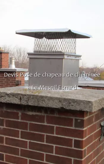 Devis Pose de chapeau de cheminée a Le Mesnil Esnard