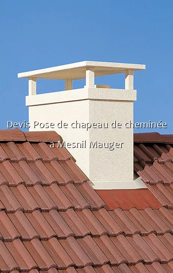 Devis Pose de chapeau de cheminée a Mesnil Mauger
