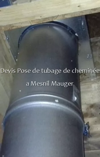 Devis Pose de tubage de cheminée a Mesnil Mauger