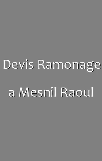 Devis Ramonage a Mesnil Raoul