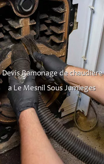 Devis Ramonage de chaudière a Le Mesnil Sous Jumieges