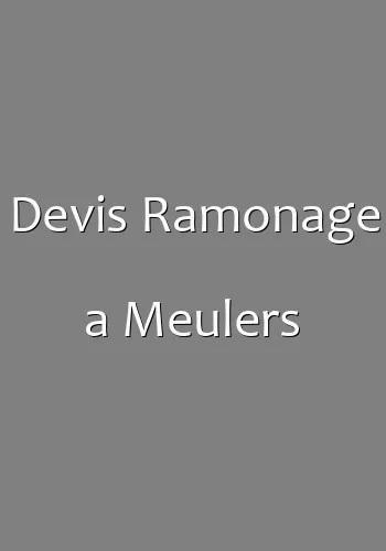 Devis Ramonage a Meulers