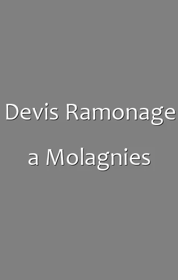 Devis Ramonage a Molagnies