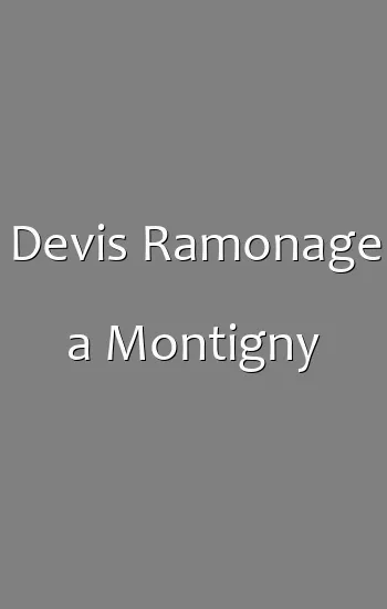Devis Ramonage a Montigny