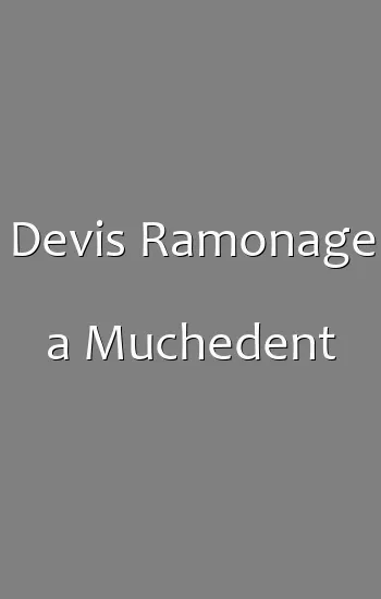 Devis Ramonage a Muchedent