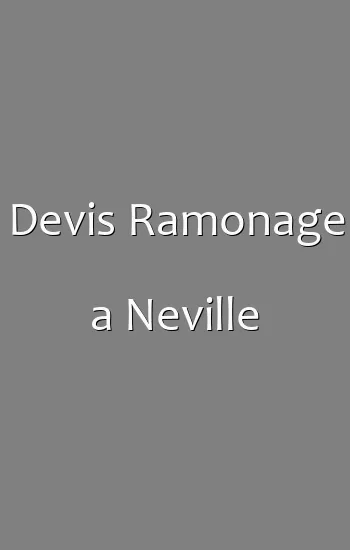 Devis Ramonage a Neville
