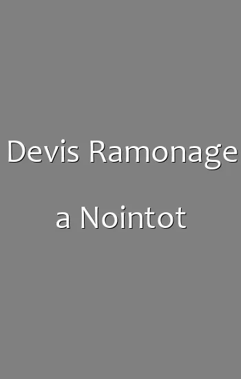 Devis Ramonage a Nointot
