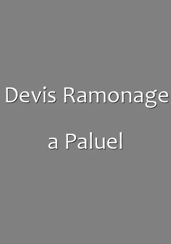 Devis Ramonage a Paluel