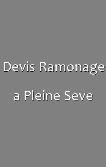 Devis Ramonage a Pleine Seve