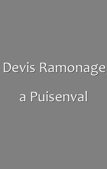Devis Ramonage a Puisenval