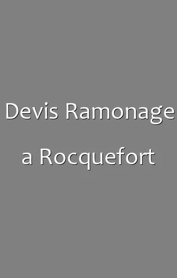 Devis Ramonage a Rocquefort
