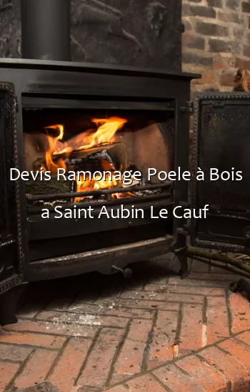 Devis Ramonage Poele à Bois a Saint Aubin Le Cauf