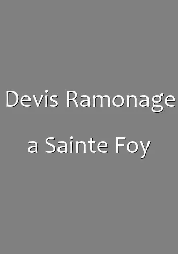 Devis Ramonage a Sainte Foy