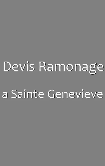 Devis Ramonage a Sainte Genevieve