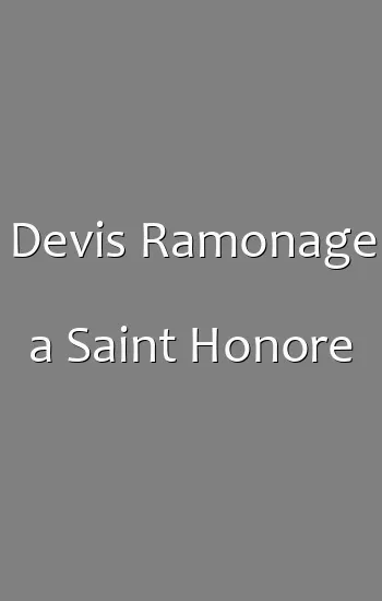 Devis Ramonage a Saint Honore