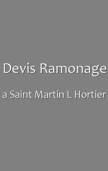 Devis Ramonage a Saint Martin L Hortier