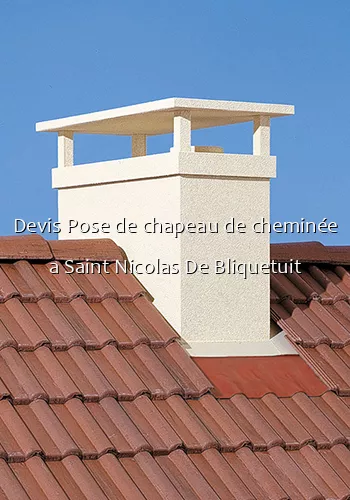 Devis Pose de chapeau de cheminée a Saint Nicolas De Bliquetuit