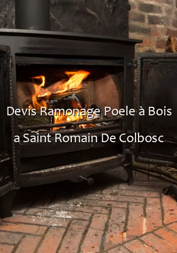Devis Ramonage Poele à Bois a Saint Romain De Colbosc