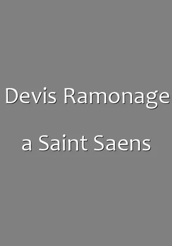 Devis Ramonage a Saint Saens
