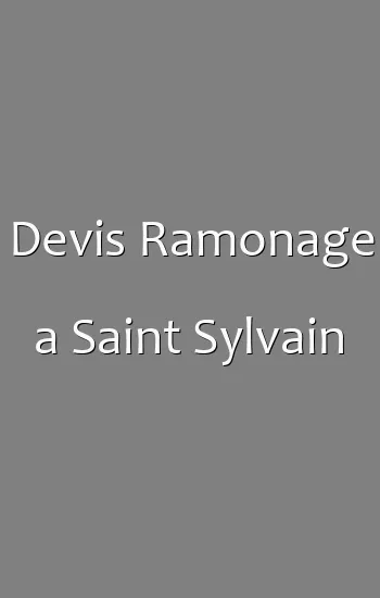 Devis Ramonage a Saint Sylvain
