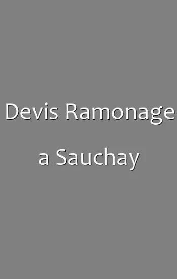 Devis Ramonage a Sauchay