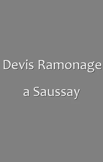 Devis Ramonage a Saussay