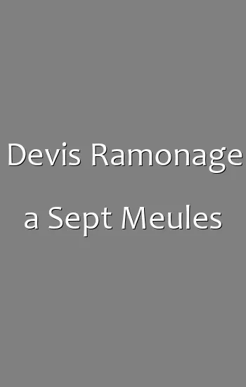 Devis Ramonage a Sept Meules