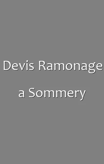 Devis Ramonage a Sommery