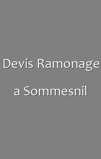 Devis Ramonage a Sommesnil