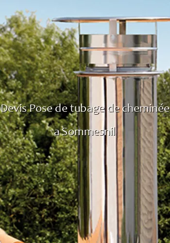 Devis Pose de tubage de cheminée a Sommesnil