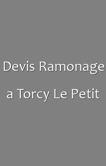 Devis Ramonage a Torcy Le Petit