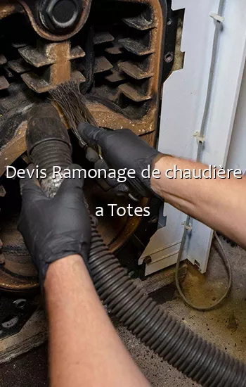 Devis Ramonage de chaudière a Totes